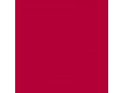 Фон бумажный Falcon Eyes BackDrop PRO 2.72x11 Flame (27)
