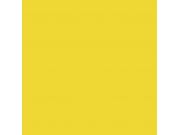 Фон бумажный Falcon Eyes BackDrop PRO 2.72x11 Forsythia Yellow (14)