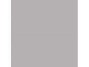 Фон бумажный Falcon Eyes BackDrop PRO 2.72x11 Pursuit Grey (21)