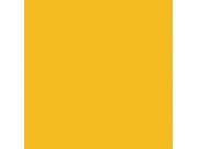 Фон бумажный Falcon Eyes BackDrop PRO 2.72x11 Yellow-Orange (35)