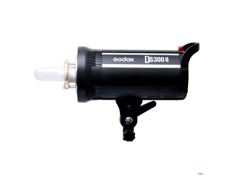 Вспышка студийная Godox DS300II