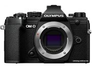 Беззеркальный фотоаппарат Olympus OM-D E-M5 Mark III Body (черный)