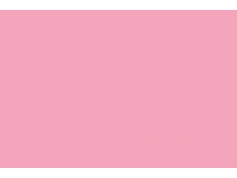 E-IMAGE Background paper (2.72*10M) 17 Carnation pink Фон бумажный, розовый