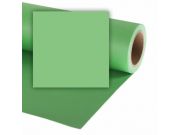 Фон бумажный Colorama LL CO159 2,72 х 11,0 метров, цвет SUMMER GREEN