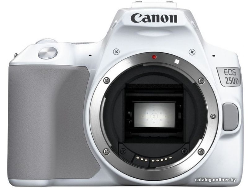 Зеркальный фотоаппарат Canon EOS 250D Kit 18-55 IS STM (белый)