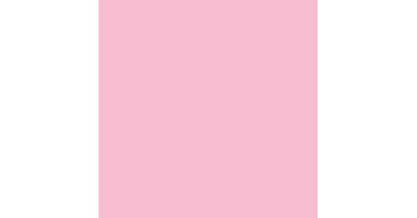 Как выглядит светло розовый цвет Фон бумажный FST 2,72x11m LIGHT PINK 1012 светло-розовый купить в Минске