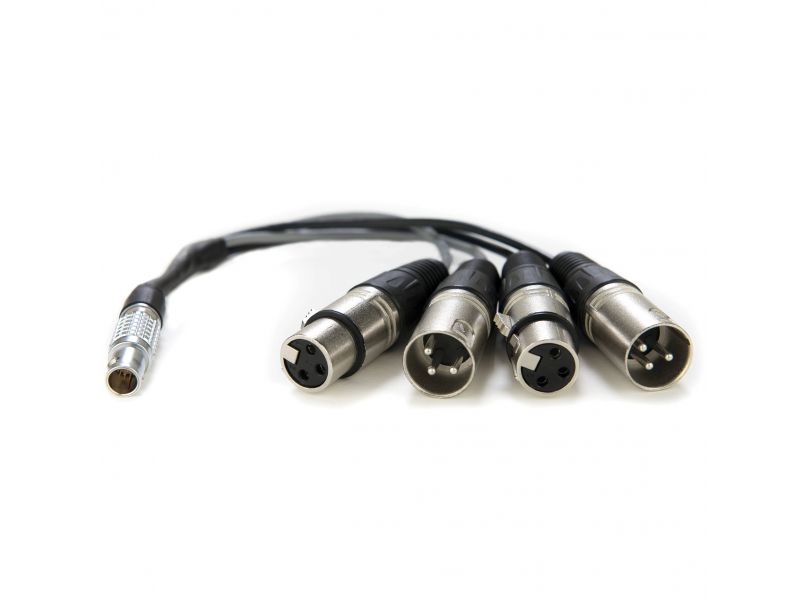 Atomos Lemo to XLR Breakout cable