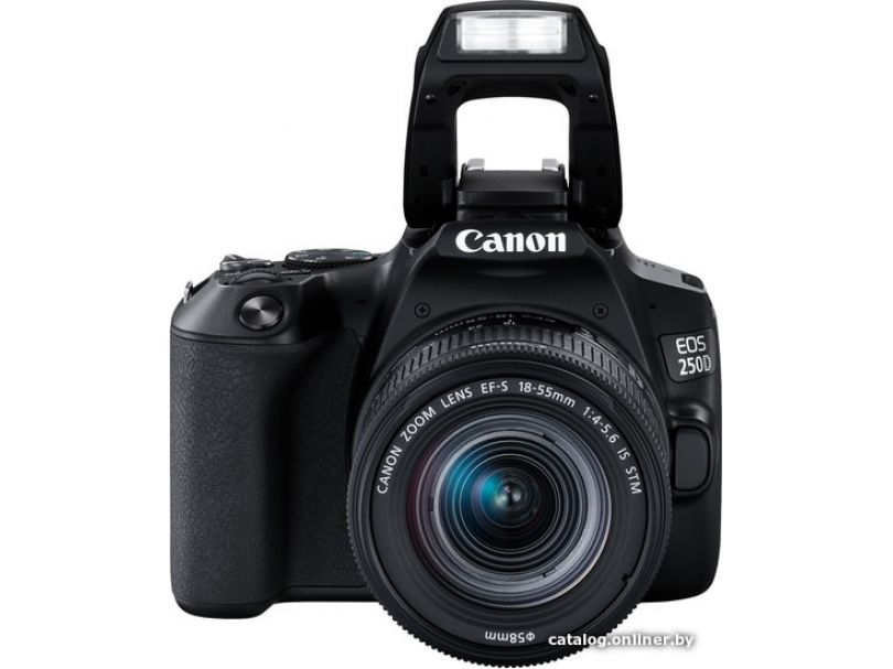 Зеркальный фотоаппарат Canon EOS 250D Kit 18-55 IS STM (черный)